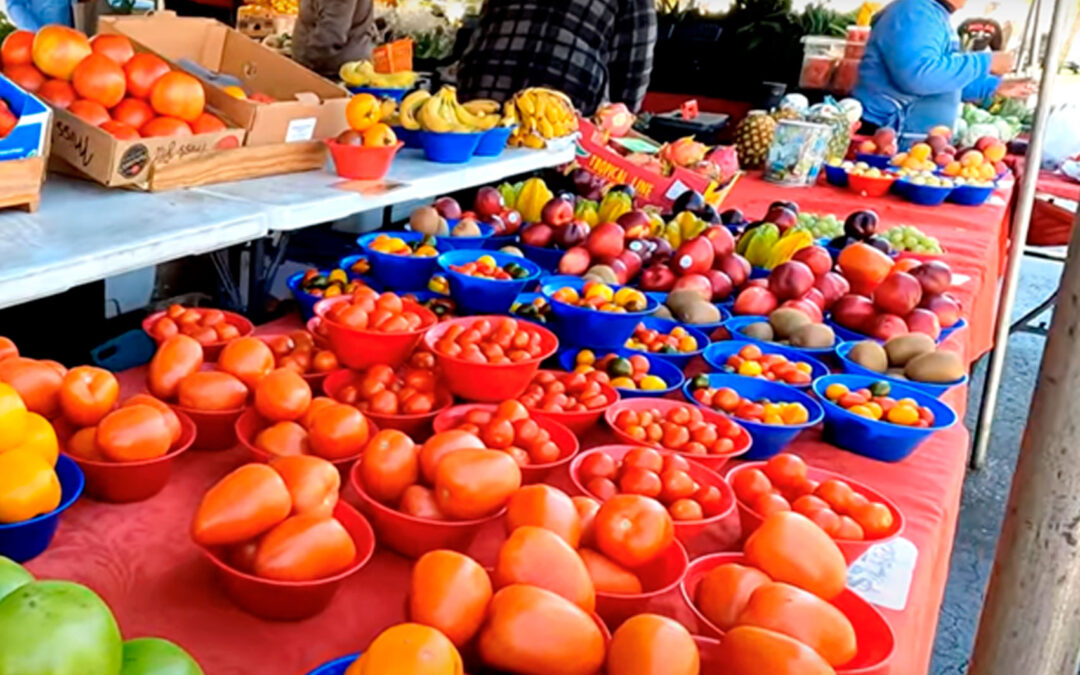 Best Farmers Markets & Grocery Stores In Elkhart, Indiana