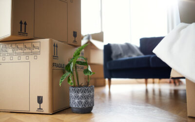 Make Moving Easy: Best Tips for a Smooth Transition