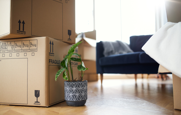 Make Moving Easy: Best Tips for a Smooth Transition